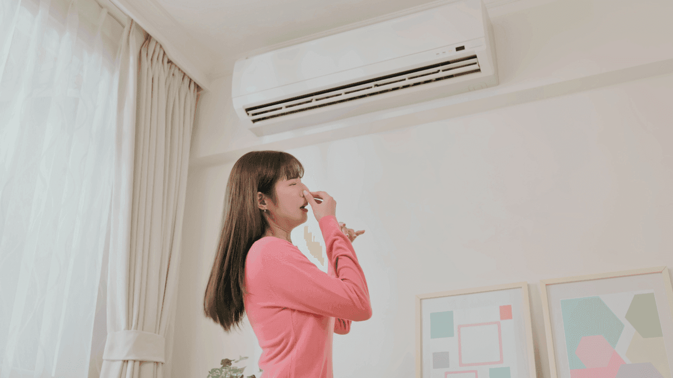 Why Your AC Smells Musty–and What You Can Do About It