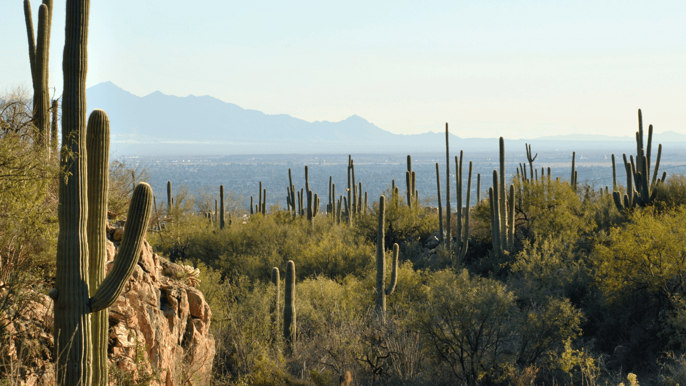 View of Buckeye