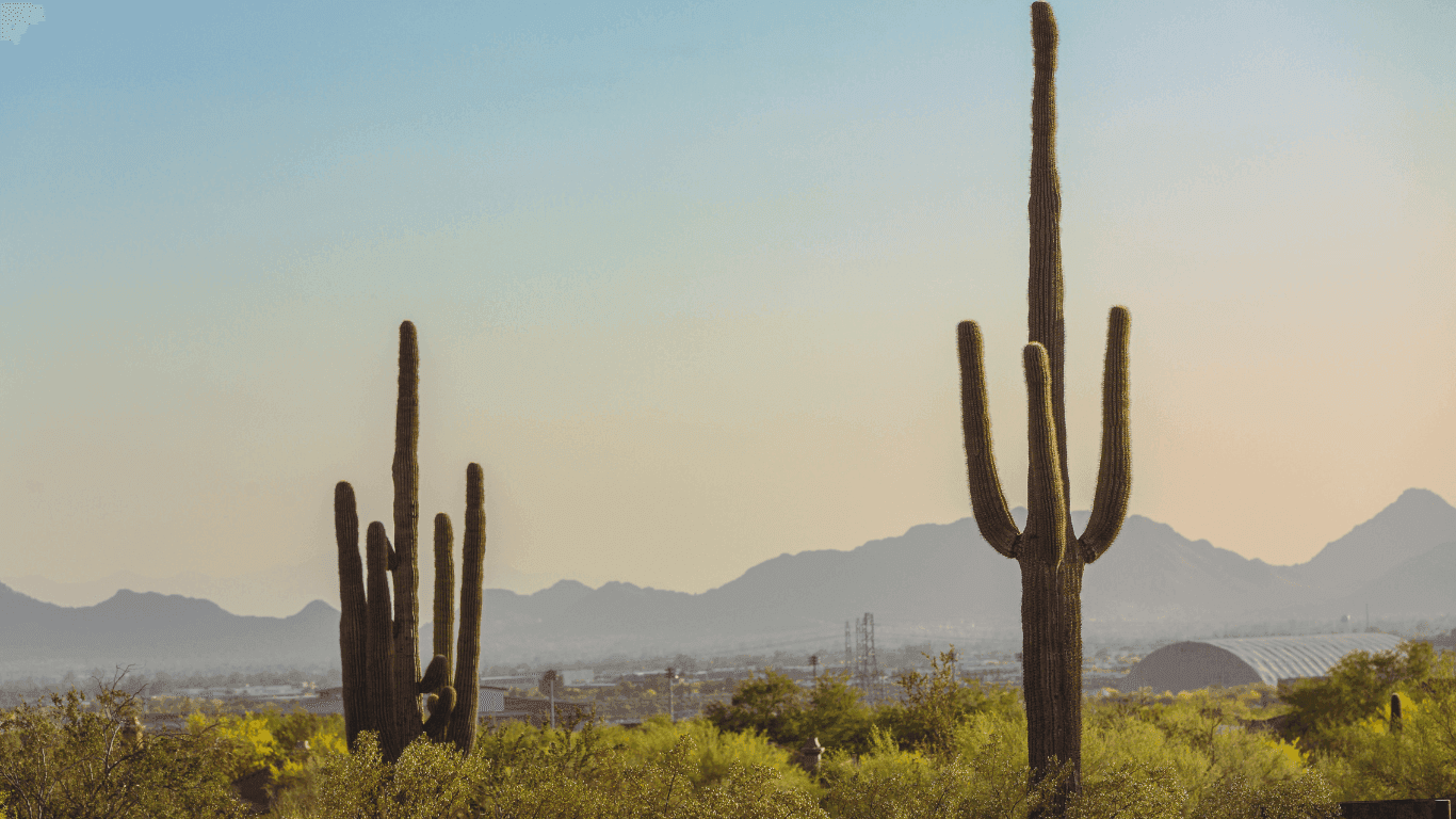 View of Goodyear