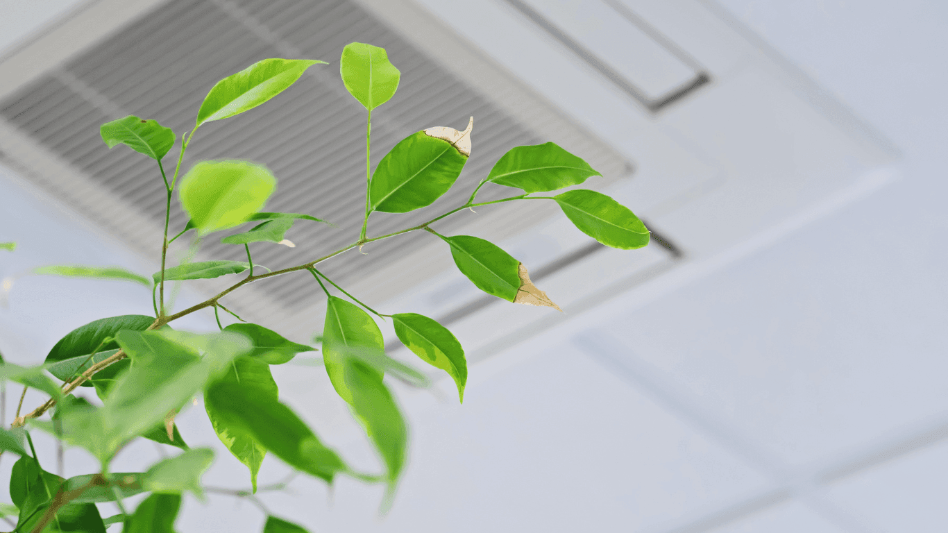 Rethinking HVAC Indoor Air Quality: Insights from 101 Individuals 