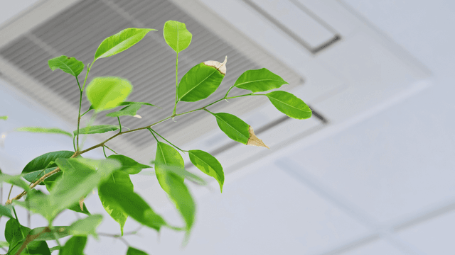 Rethinking HVAC Indoor Air Quality: Insights from 101 Individuals 