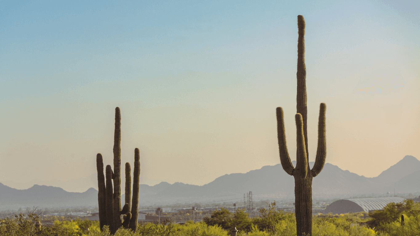 City view of Litchfield Park at sunset