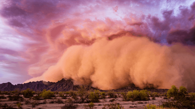 How a Phoenix Dust Storm Impacts Your HVAC–and What to Do About It