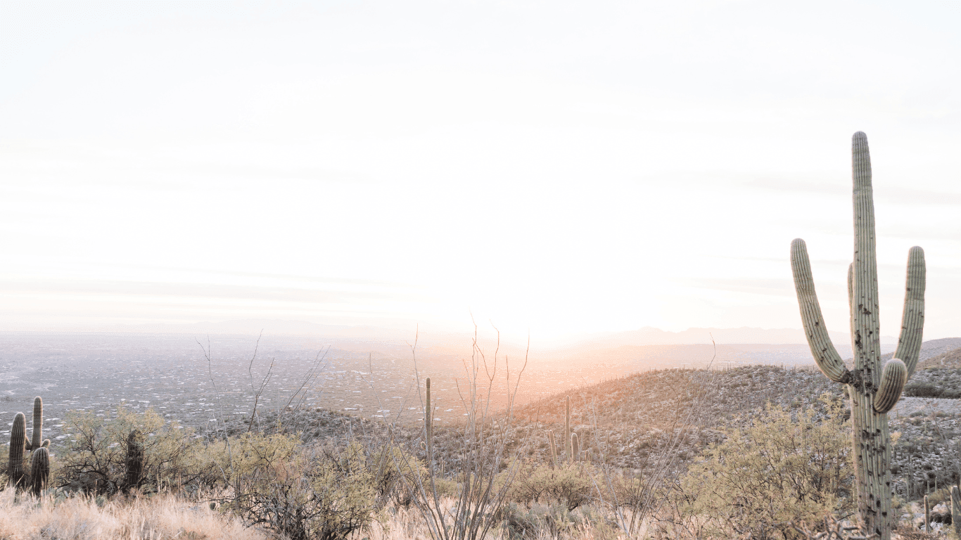 View of Chandler