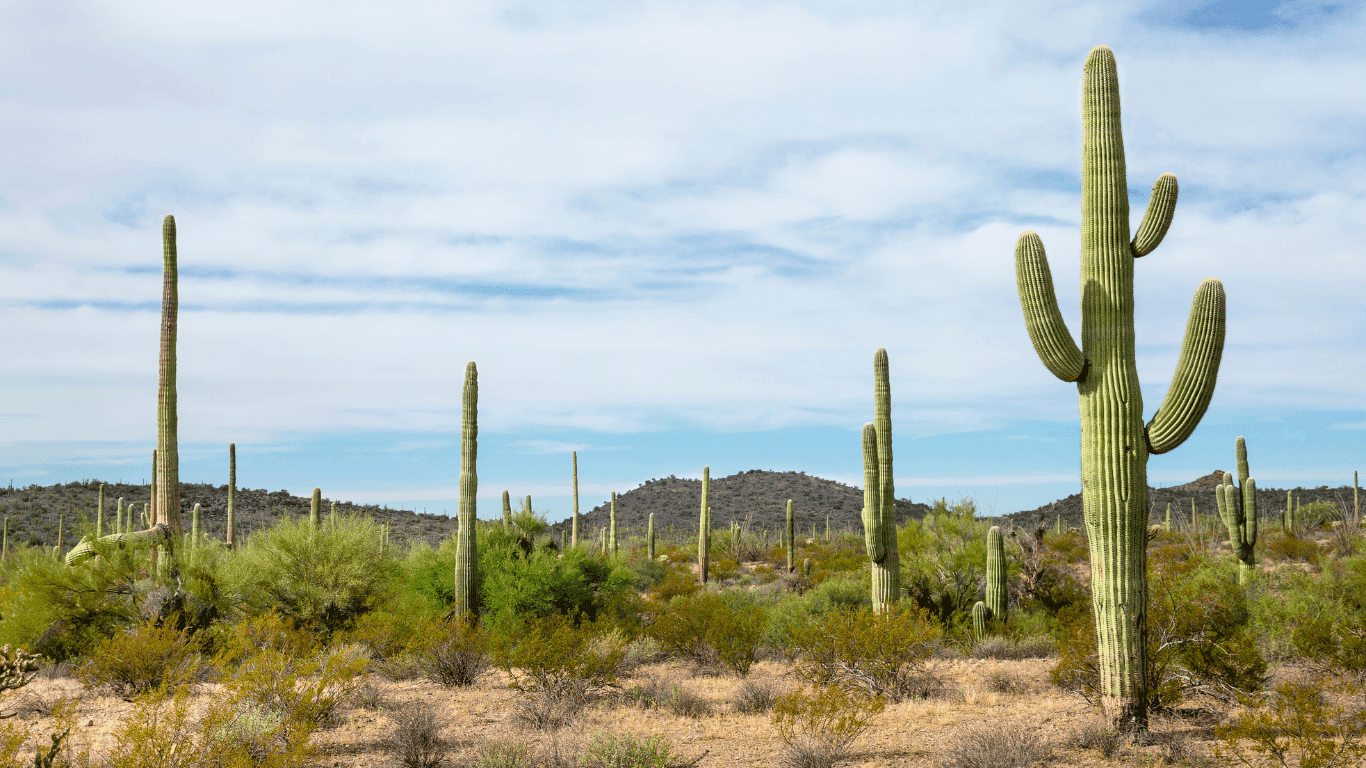 City view of Tolleson