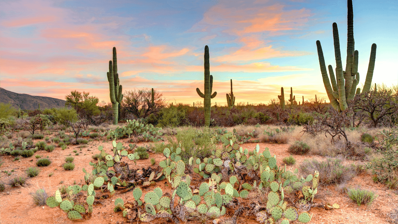 City view of Wickenburg