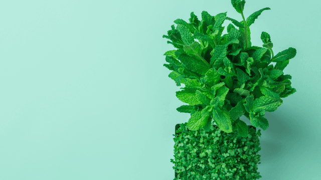 Maximize Your Home Comfort with MintCare in Phoenix, Arizona