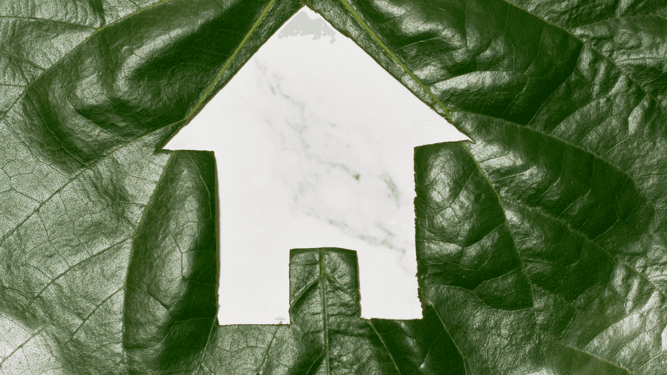 Why Homeowners Are Making The Switch to Environmentally Friendly HVAC Systems